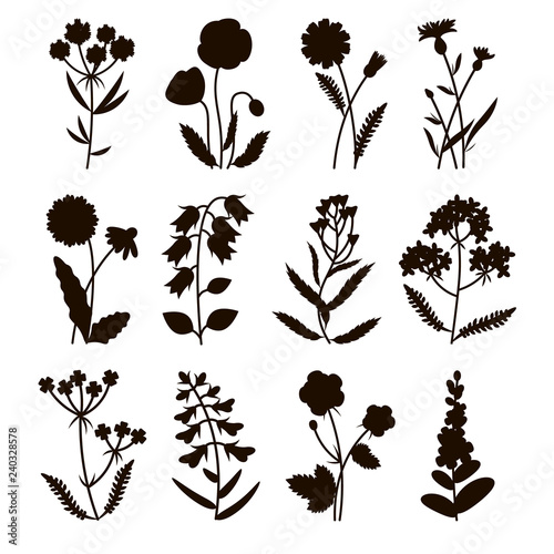 FieldFlowersSilhouette