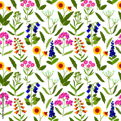 Vector seamless pattern with meadow flowers on white background. Summer design. Wild field flowers pattern.