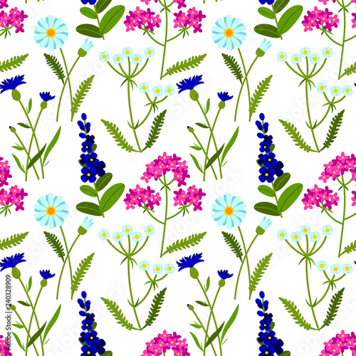 Vector seamless pattern with meadow flowers on white background. Summer design. Wild field flowers pattern.