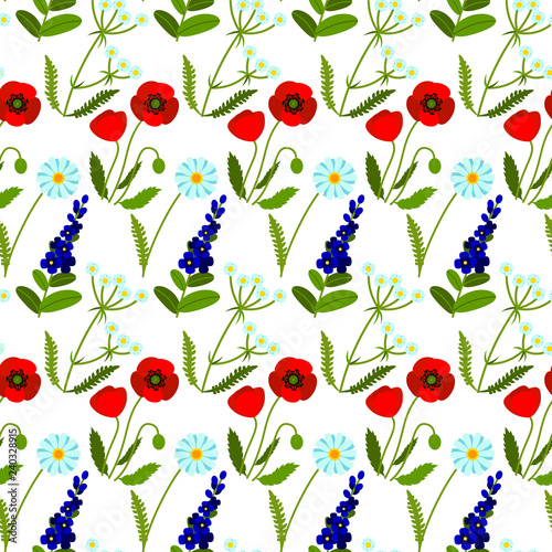 Vector seamless pattern with meadow flowers on white background. Summer design. Wild field flowers pattern.