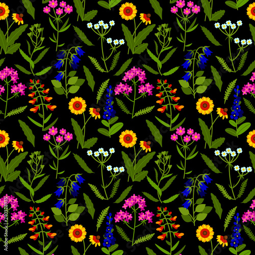 Vector seamless pattern with meadow flowers on black background. Summer design. Wild field flowers pattern.