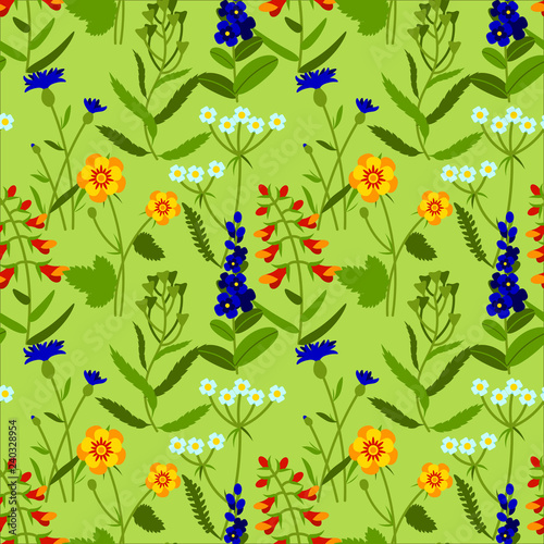 Vector seamless pattern with meadow flowers on green background. Summer design. Wild field flowers pattern.