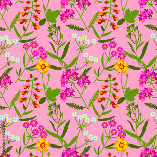 Vector seamless pattern with meadow flowers on pink background. Summer design. Wild field flowers pattern.