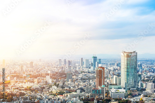 Canvas Print urban city skyline aerial view in Tokyo, Japan