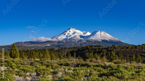 Obraz na płótnie Mount Shasta