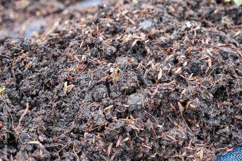 Soil and fertilizer preparing in plot