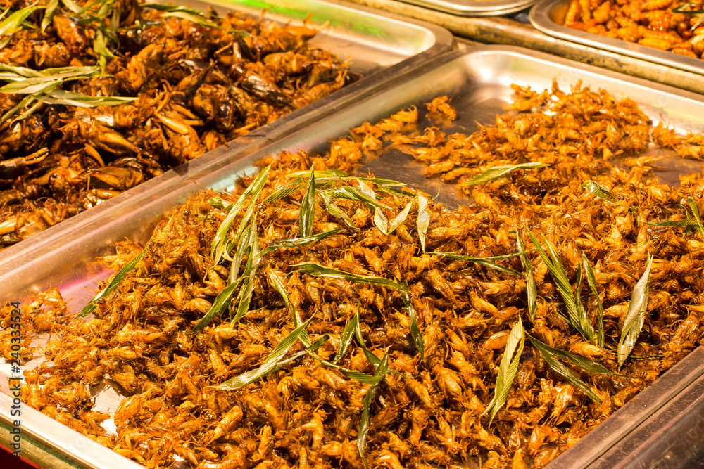 Fototapeta premium Thai street food Fried insects