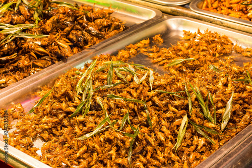 Thai street food Fried insects
