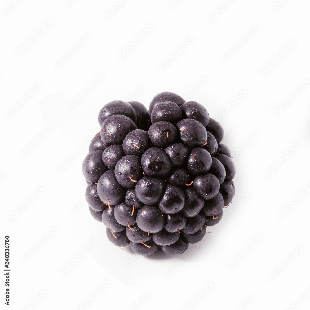 Large fresh BlackBerry isolated on white background. Large fresh BlackBerry isolated on white background.