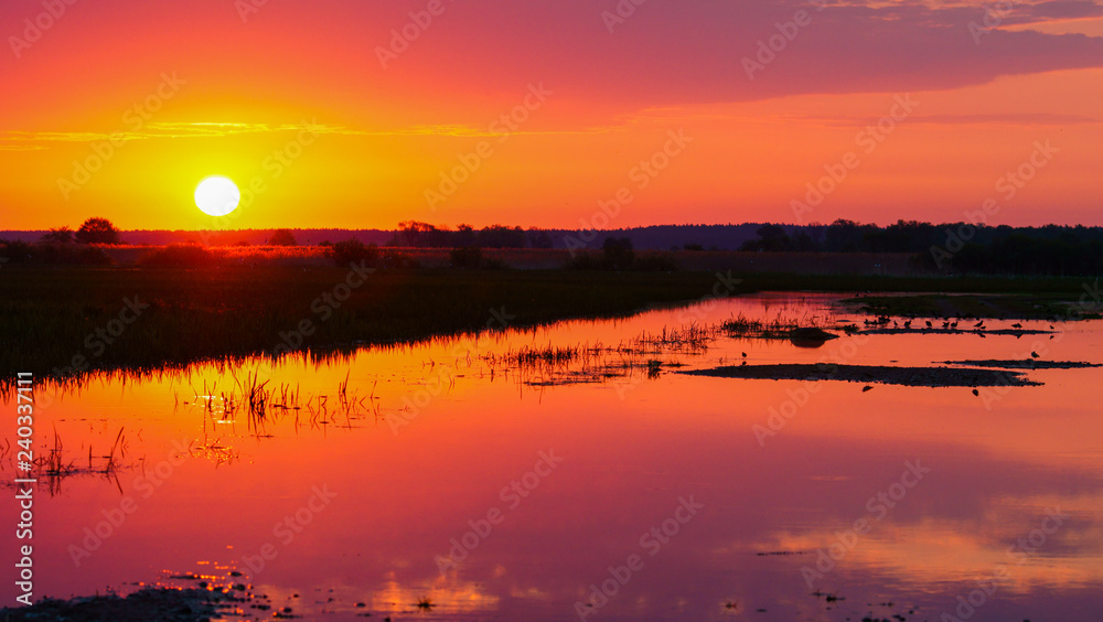 A beautiful spring sunrise in the wetlands. Biebrza. Poland A beautiful spring sunrise in the wetlands. Biebrza. Poland