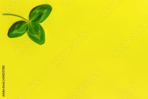 One natural clover leaf on yellow background. St.Patrick 's Day concept. Top view Copy space