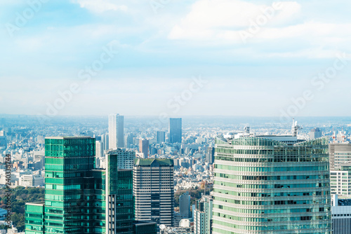 urban city skyline aerial view in Tokyo  Japan