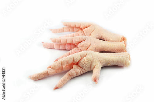 Chicken feet isolated on white background / Fresh Raw chicken feet or foot