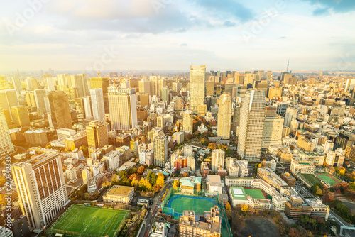 Canvas Print urban city skyline aerial view in Tokyo, Japan