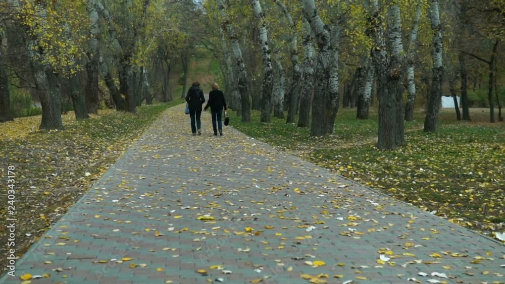 Two old senior woman walk through the park in the fall