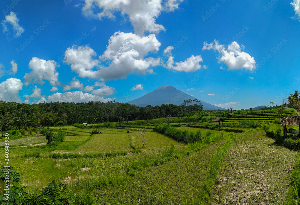 Bright blue sky landscape of Balinese rice terraces and Agung volcano
