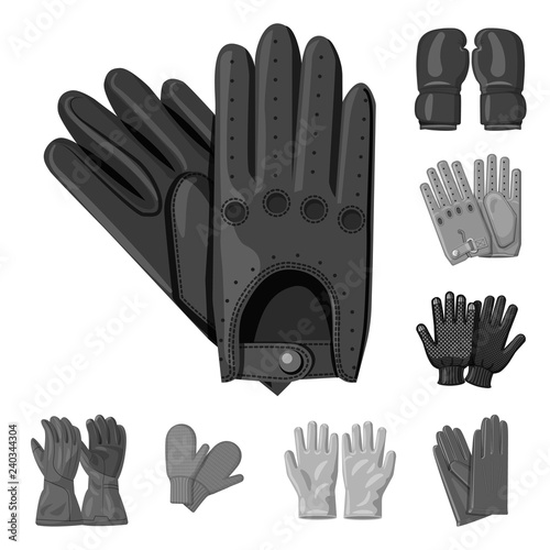 Isolated object of glove and winter sign. Collection of glove and equipment vector icon for stock.
