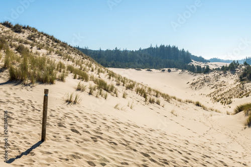 A sand hill from a high point of view over the Oregon dunes photo