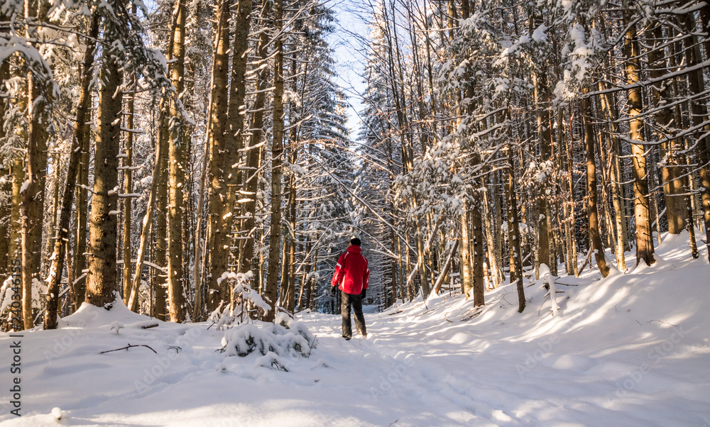 hiker male with backpack walking in snowy winter forest
