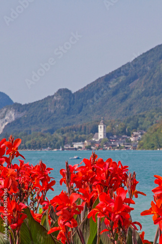 Ausblick auf St. Wolfgang photo