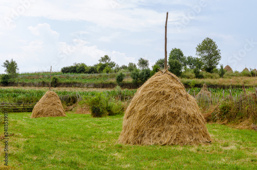 Countryside scene with hay stacks 