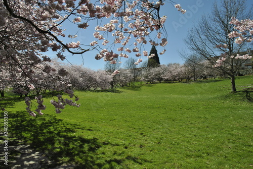 böblingen darmsheim eibachgrund photo