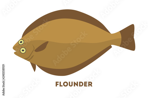 Flounder fish from the sea or ocean.