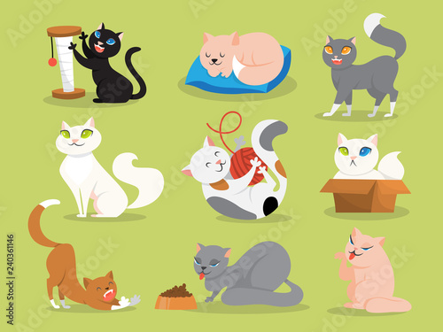 Set of animal cat sleeping and playing