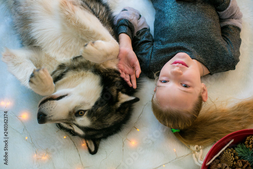 Cute girl  with blond hair having fun at home with a dog Malamute and Labrador at home in a decorated room for Christmas  