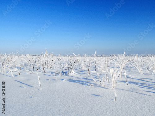 Winter field in the countryside © Андрей Яковлев