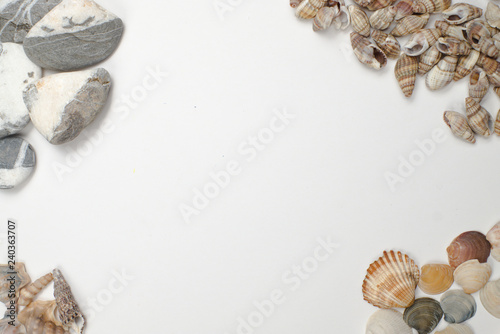 compositions of shells