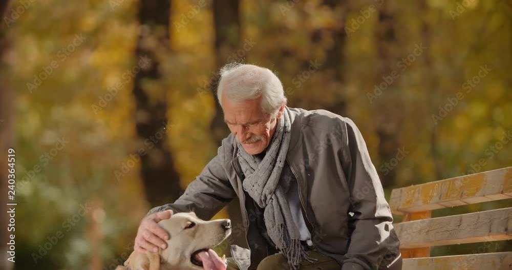 Senior moustached caucasian man sitting on bench in fall garden, caressing and petting his golden labrador - old friend, retirement concept 4k