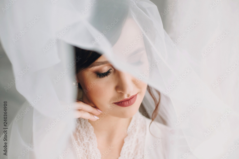 Beautiful stylish brunette bride posing in silk robe under veil in the morning. Sensual portrait of happy woman model with perfect makeup and hairstyle, getting ready for wedding day Beautiful stylish brunette bride posing in silk robe under veil in the morning. Sensual portrait of happy woman model with perfect makeup and hairstyle, getting ready for wedding day