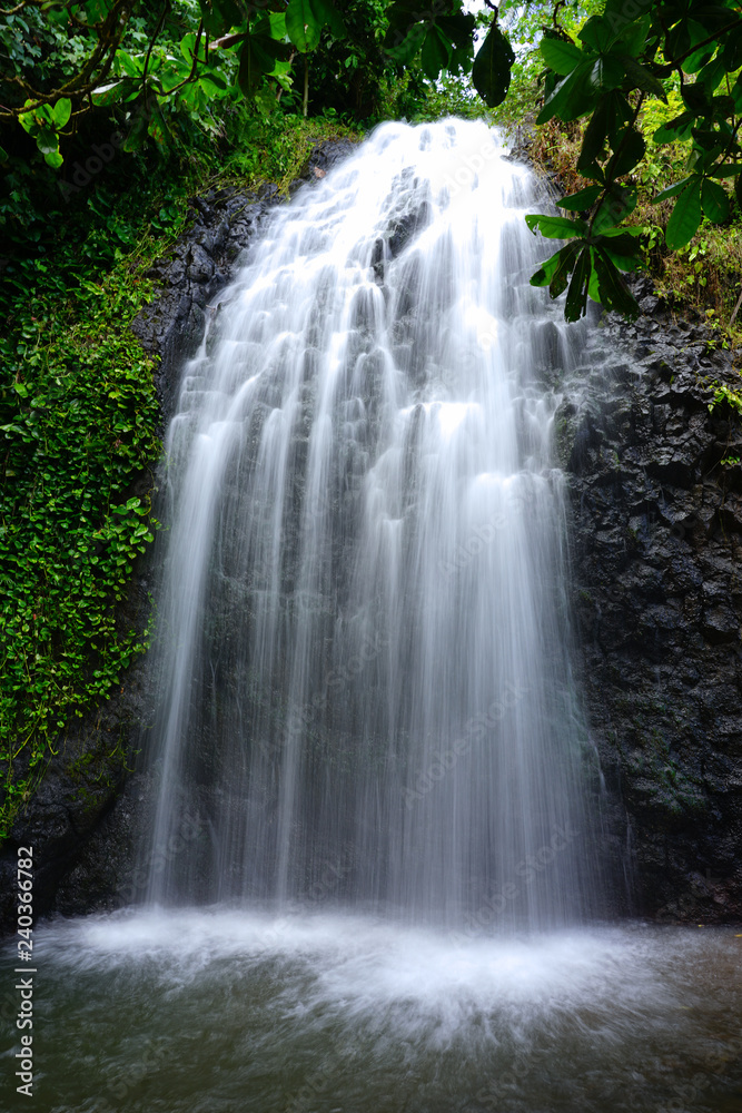 Fototapeta premium View of a cascading waterfall in Tahiti, French Polynesia