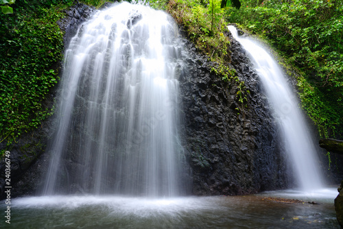 фотографія View of a cascading waterfall in Tahiti, French Polynesia