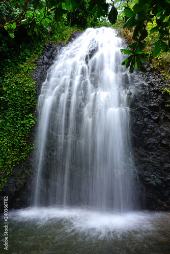 Photo View of a cascading waterfall in Tahiti, French Polynesia
