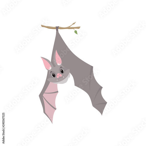 Funny bat hanging upside down on a branch wrapped, gray creature monster cartoon character vector Illustration on a white background