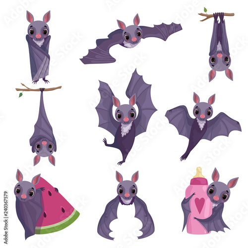 Collection of funny purple bats, cute creature cartoon characters in different situations vector Illustration on a white background