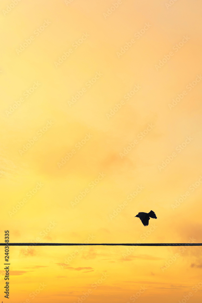 the bird flies against the sunset sky in pastel colors. Minimal style.