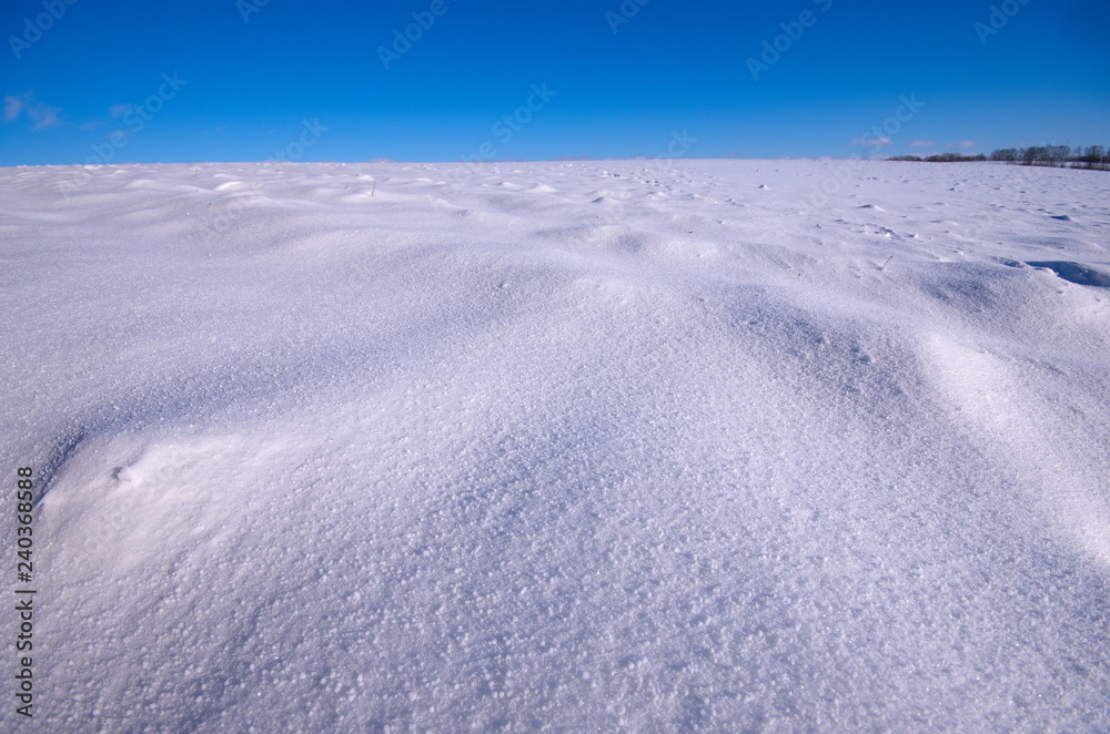 Agricultural field in a winter season. The field is covered with snow after snowfall. White snow and blue sky. Arable land covered with snow