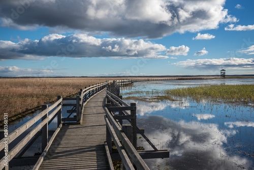 Fototapeta Naklejka Na Ścianę i Meble -  Wooden path to the lake.