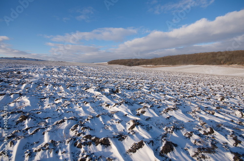 Winter landscape: Snow covered plowed Field. The distant forest