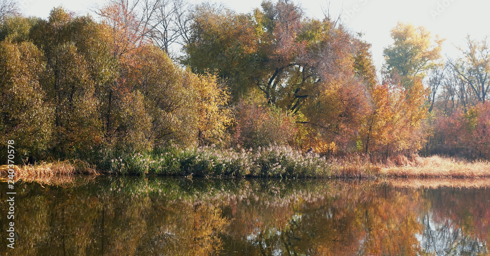 Colorful autumn trees in autumn Colorful autumn trees in autumn