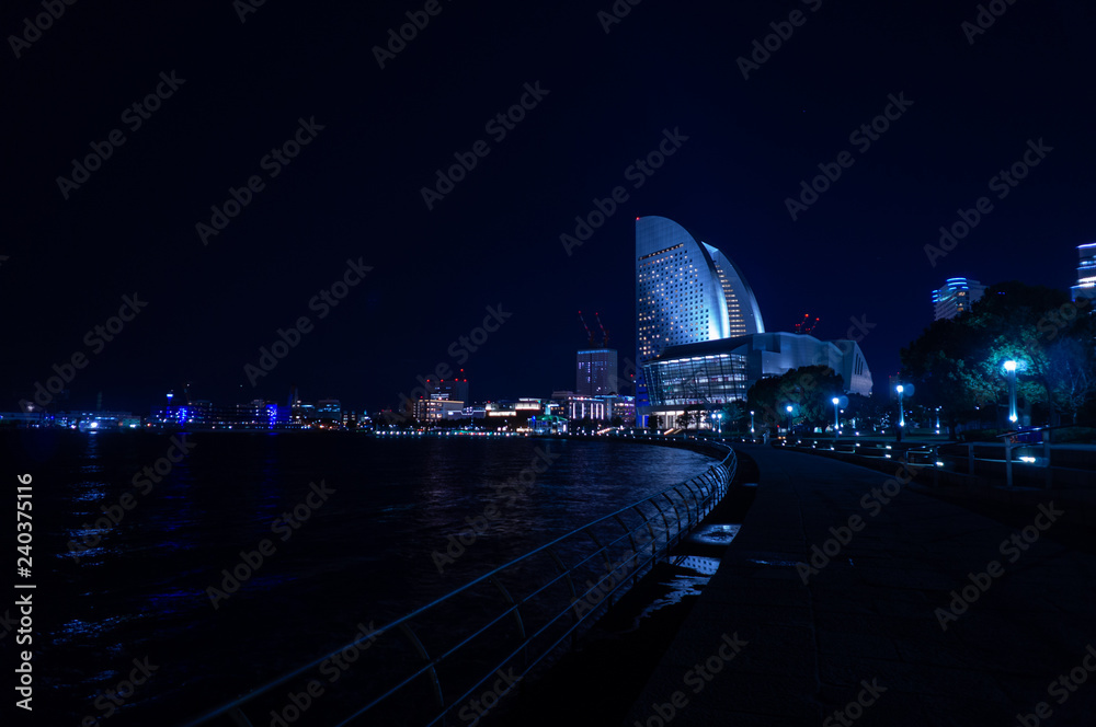 Obraz premium 横浜夜景