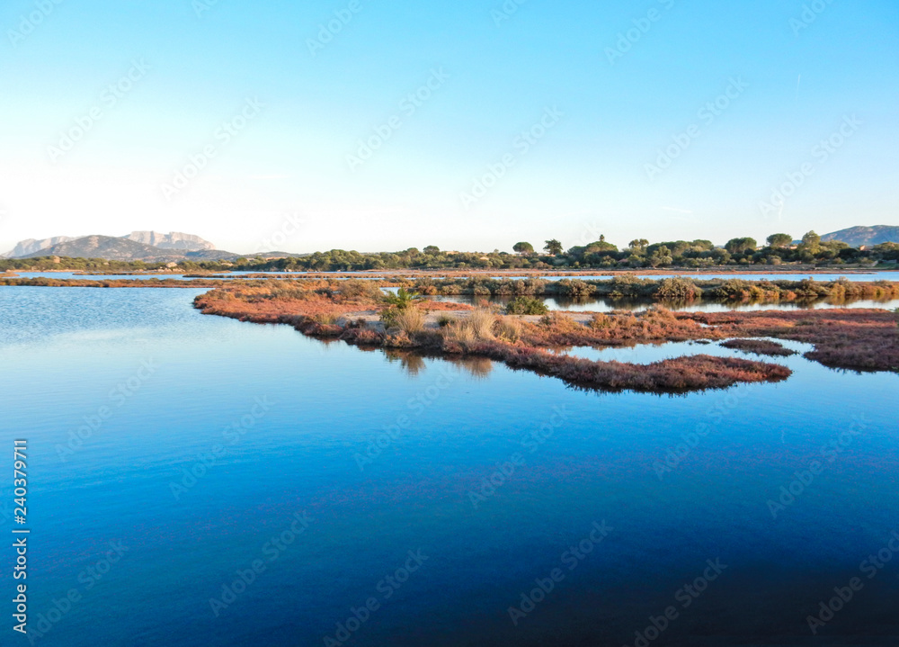 Deep blue sea water mirror with islands of typical Mediterranean vegetation at sunset