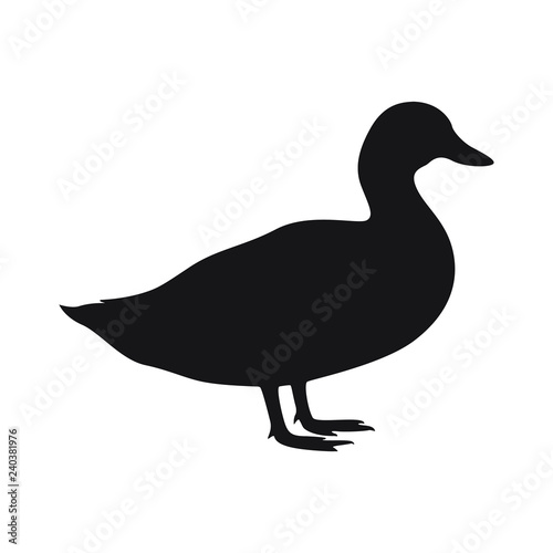 Duck icon. Duck black silhouette isolated on white background. Vector illustration