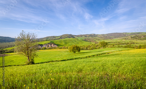 Peaceful Toscana Val d'Orcia fields landscapes © AlexanderNikiforov