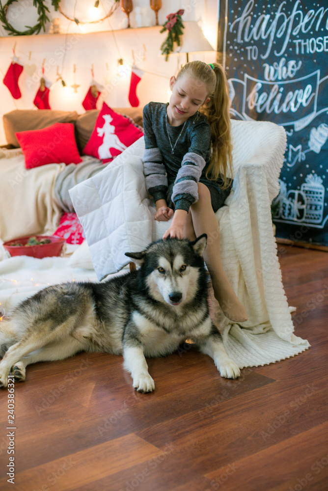 Cute girl with blond hair having fun at home with a dog Malamute at home in a decorated room for Christmas
Cute girl with blond hair having fun at home with a dog Malamute at home in a decorated room for Christmas