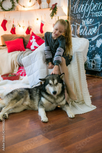 Cute girl with blond hair having fun at home with a dog Malamute at home in a decorated room for Christmas 