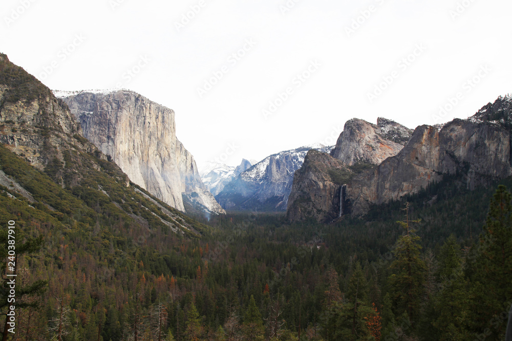 View of Yosemite National Park in USA